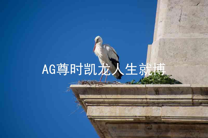 AG尊时凯龙人生就博